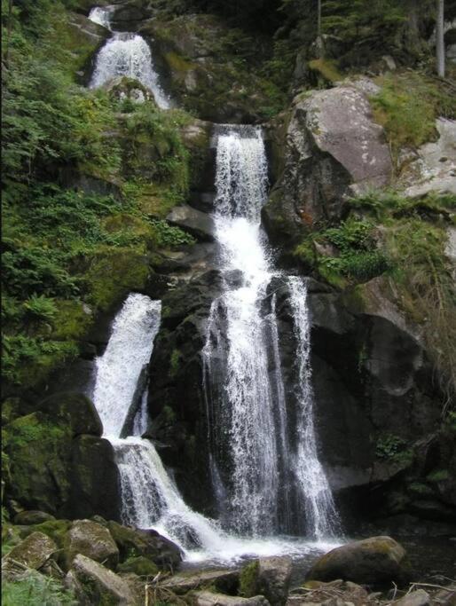 Two-Bedroom Apartment Near Triberg Waterfall Триберг Экстерьер фото
