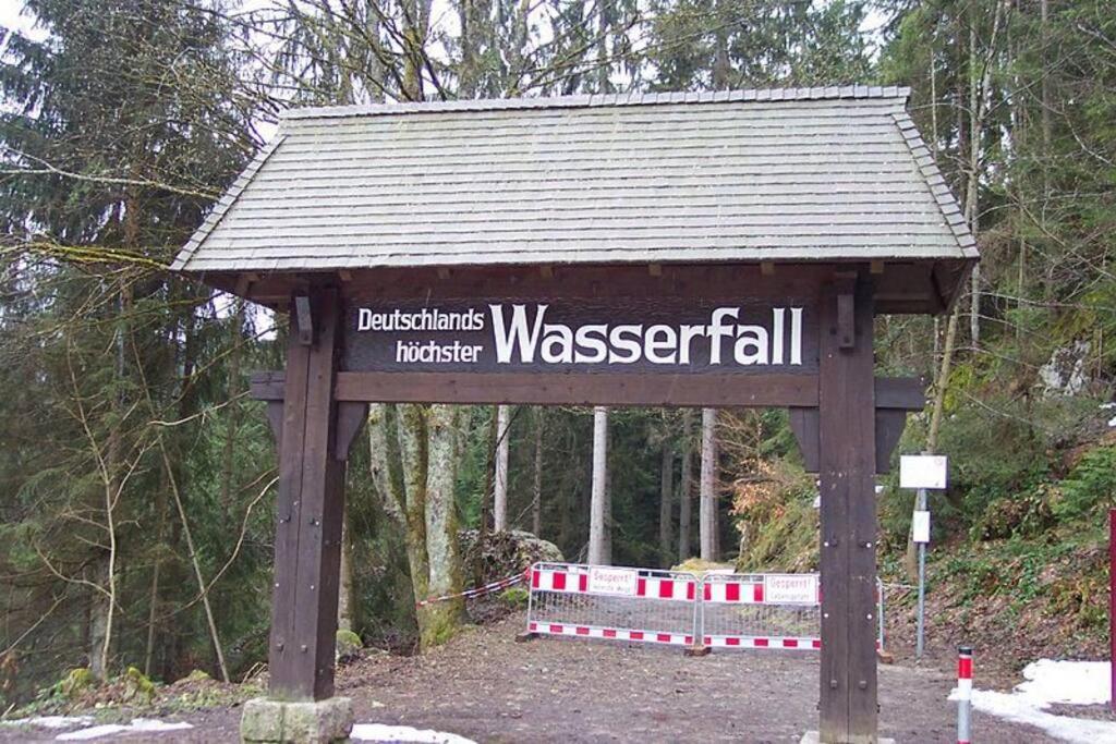 Two-Bedroom Apartment Near Triberg Waterfall Триберг Экстерьер фото